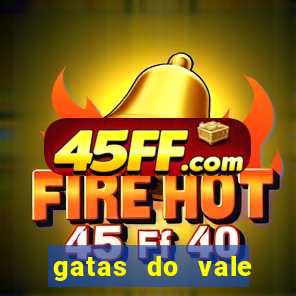 gatas do vale juazeiro bahia